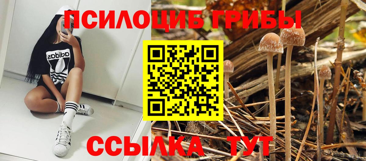 Псилоцибиновые грибы MAGIC MUSHROOMS  наркотики  Калач-на-Дону  Вход с VPN 