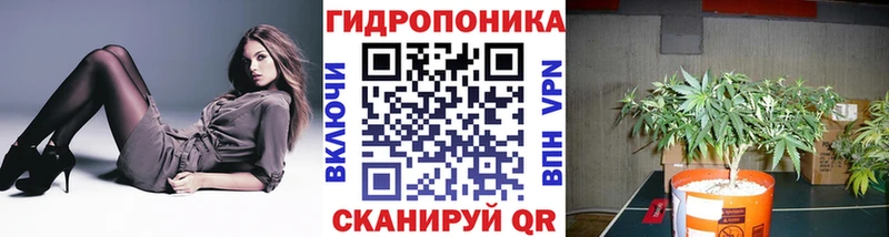 Канабис AK-47  сайты даркнета какой сайт  Калач-на-Дону 